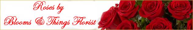 RosesBanner2.jpg