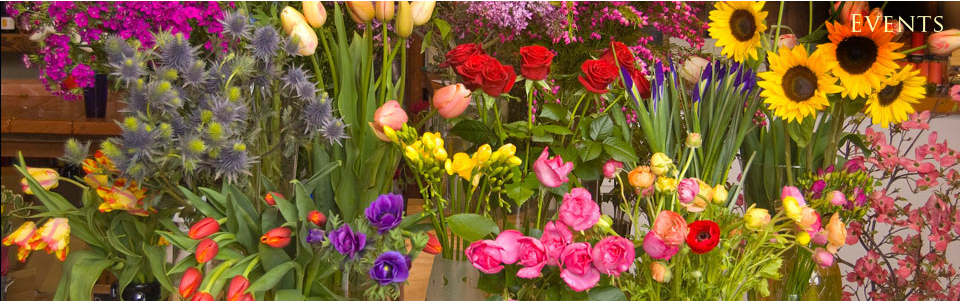 Blooms And Things Florist