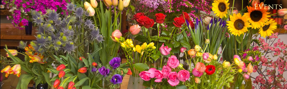 Blooms And Things Florist