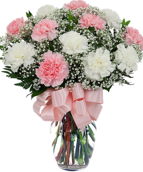 Carnations - The Official Mother's Day Flower