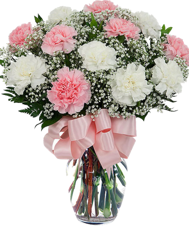 Dz Pink & White Carnations