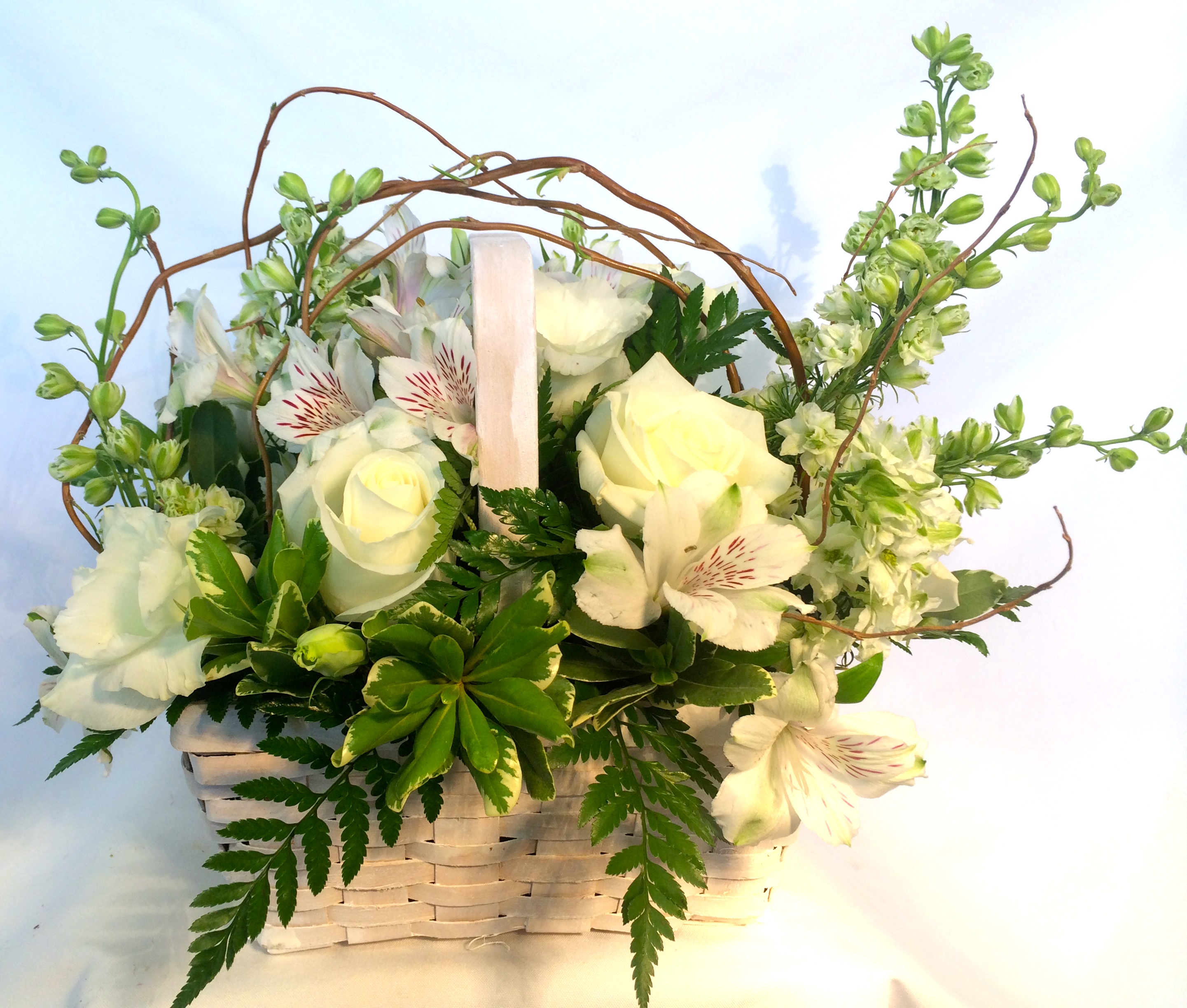 PEACEFUL GARDEN Blooms And Things