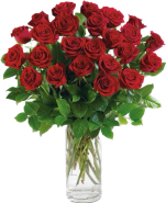2DZ Red Roses