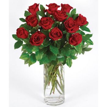 DOZEN RED ROSES