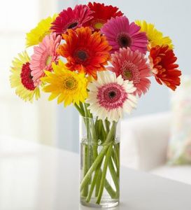 Vase of Gerberas