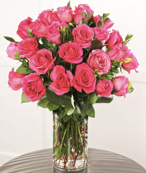 CANDY PINK ROSES