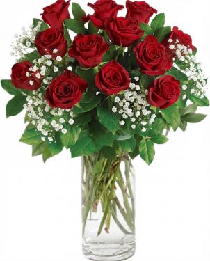 DOZEN RED ROSES