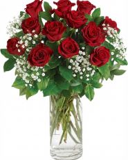 BEAUTIFUL RED ROSES