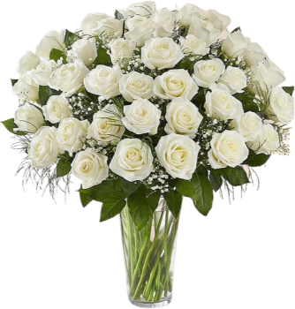 White Roses