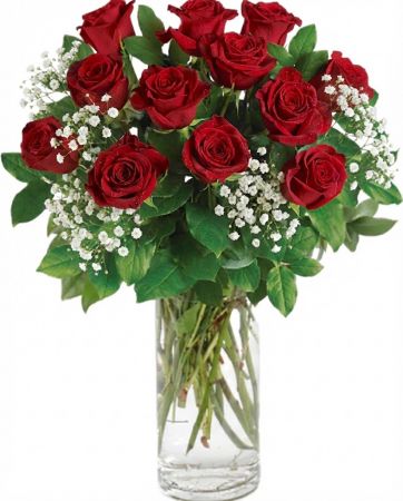 DOZEN RED ROSES