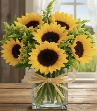 Sunflower Special