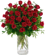 3-DZ Red Roses