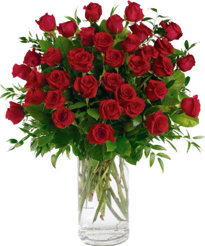 3-DZ Red Roses