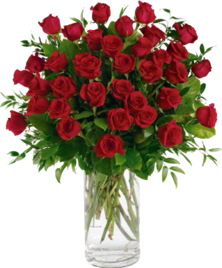 3-DZ Red Roses