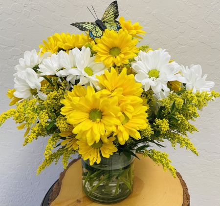 Daisies w/Butterfly (Vase)