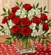 Red Rose Embrace (square vase)