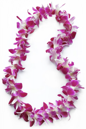 Graduation Orchid Flower Lei