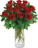 DOZEN RED ROSES