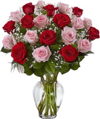 2Dz Pink & Red Roses