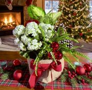 Christmas Kalanchoe Planter