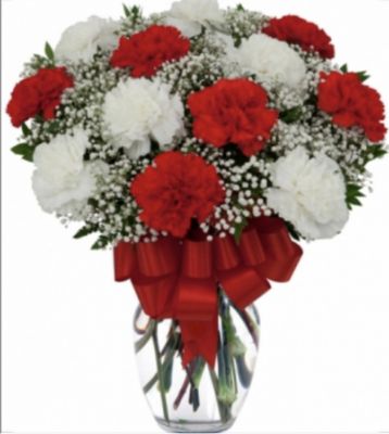 Red & White Carnations