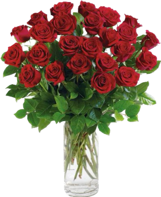 2DZ Red Roses