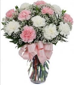 Pink & White Carnations
