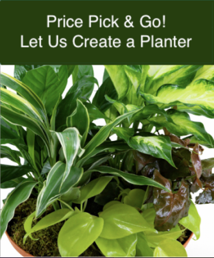 Price Pick Planter