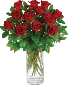 DOZEN RED ROSES