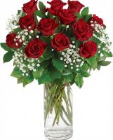 BEAUTIFUL RED ROSES