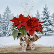 Poinsettia w/Pinecones