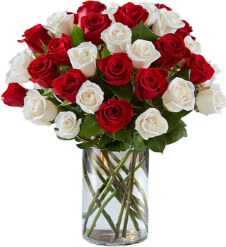 White & Red Roses