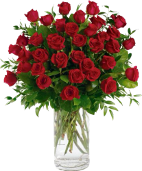 3-DZ Red Roses