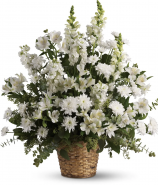 SERENE SIMPLICITY - Pick Color