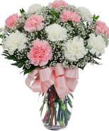 Dz Pink & White Carnations