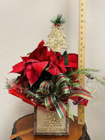 Lighted Poinsettia Box