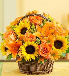 Field of Europe for Fall Basket