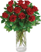 DOZEN RED ROSES