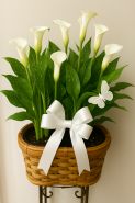 Calla Lilly Planter