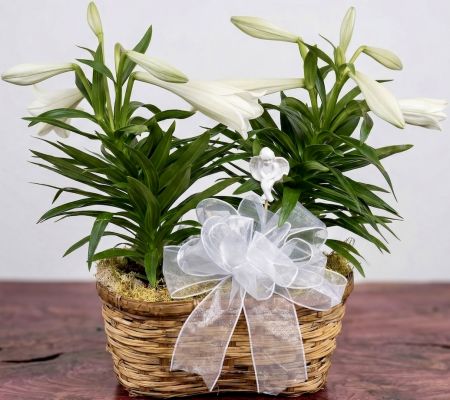 Double Easter Lily with Porcelain Angel