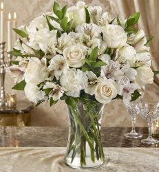 White Elegance
