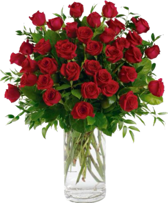 3-DZ Red Roses