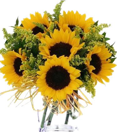 Sunflower Special