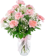 Carnations - Official Mother's Day Flower