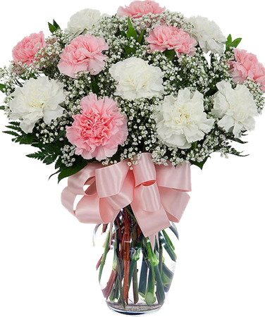 Pink & White Carnations