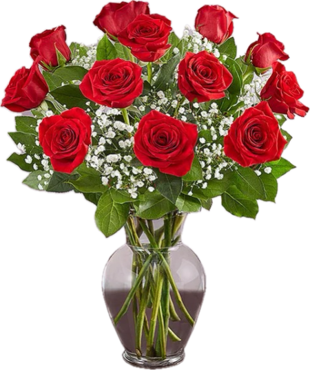 DOZEN RED ROSES