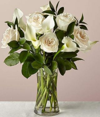 Callas & Roses