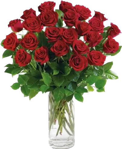 2DZ Red Roses